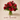 Red Passion